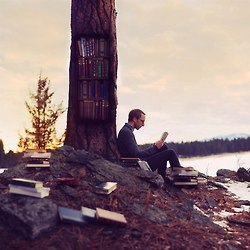 tumblr_mf8p3qfRFn1rrjsvoo4_250