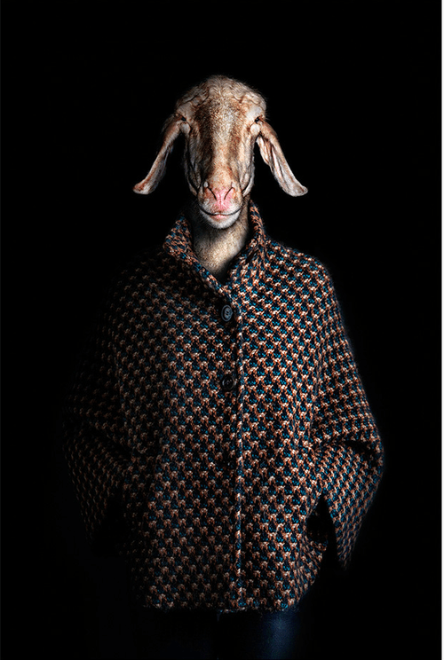 tumblr_mr9x714G8n1qccpz7o2_500