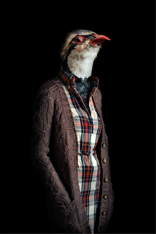 tumblr_mr9x714G8n1qccpz7o3_500