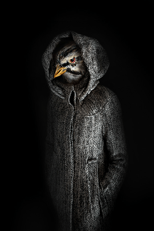 tumblr_mr9x714G8n1qccpz7o4_500