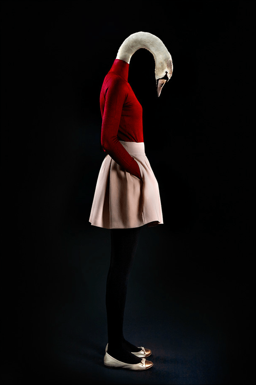 tumblr_mr9x714G8n1qccpz7o6_500